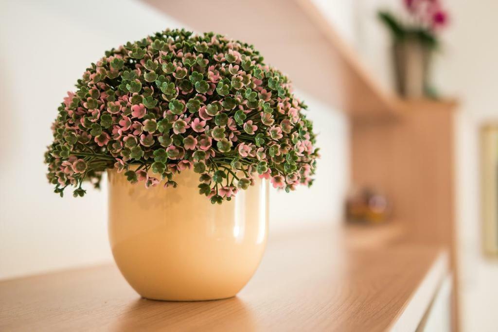 Apartament Snjezana Mali Lošinj Zewnętrze zdjęcie